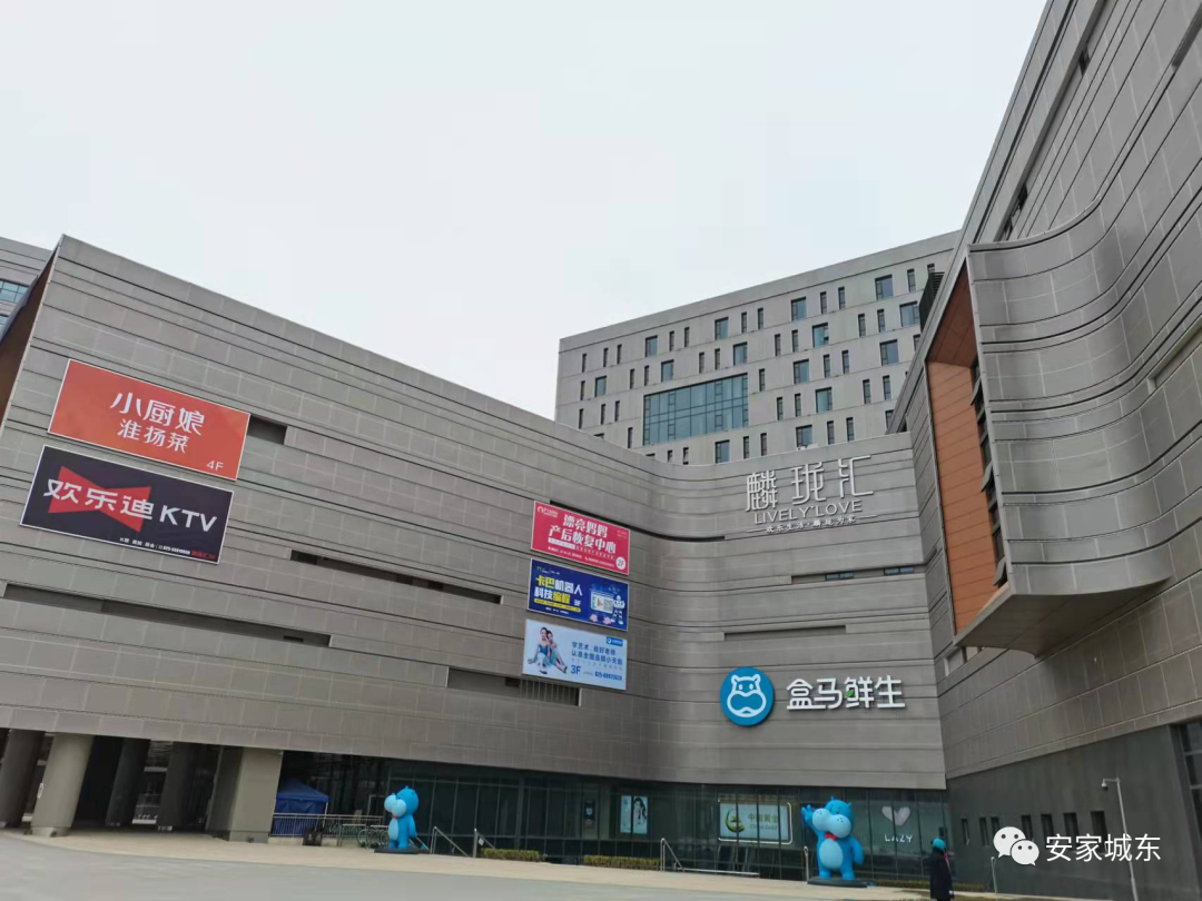 南京五星电器开业_新五星酒店开业营销策划方案_厨卫电器开业广告词