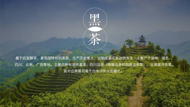 毛笔牌匾字体_牌匾用什么字体最好_什么字体适合做牌匾