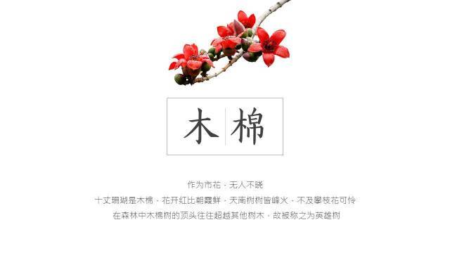 毛笔牌匾字体_什么字体适合做牌匾_牌匾用什么字体最好