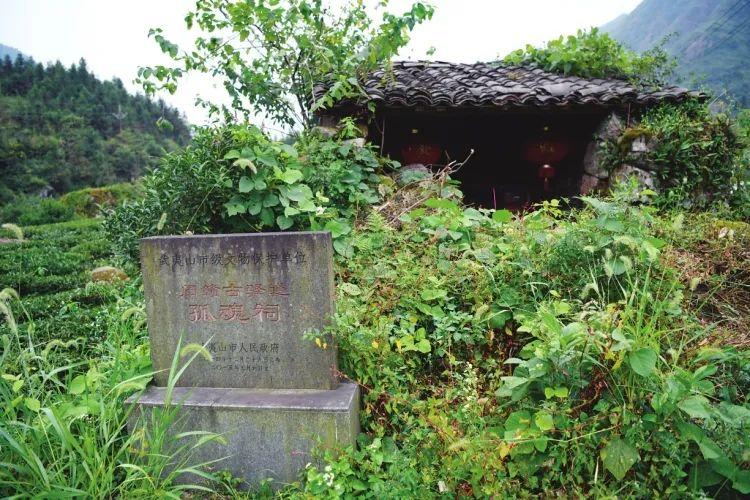 茶行牌匾图片_虎标行黑苦荞茶_诱行 兰茶txt