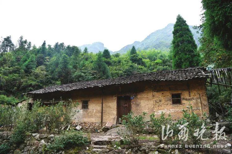 诱行 兰茶txt_虎标行黑苦荞茶_茶行牌匾图片