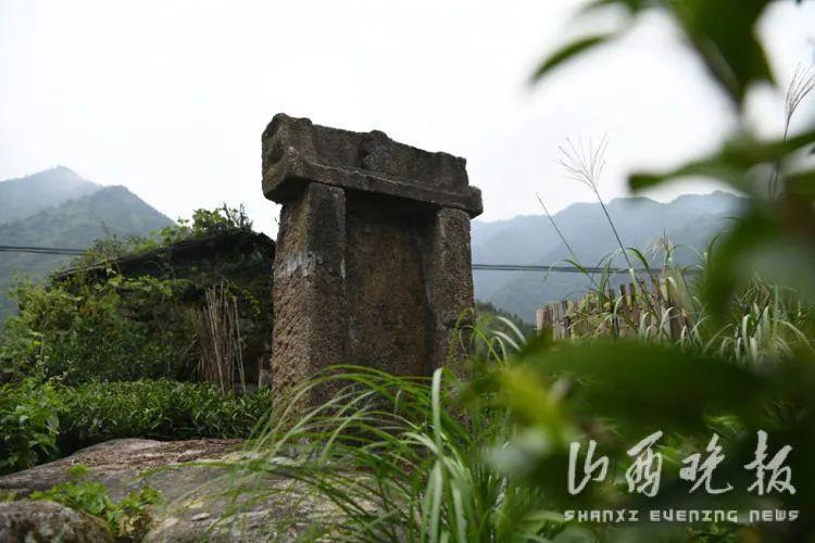 虎标行黑苦荞茶_茶行牌匾图片_诱行 兰茶txt