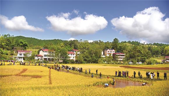 美丽乡村入口村牌_美丽乡村入口设计图片_美丽乡村入口村牌