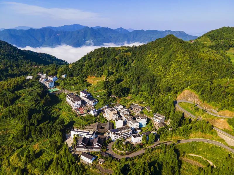 高陵最美丽乡村岳华村_美丽乡村扶利村_美丽乡村入口村牌