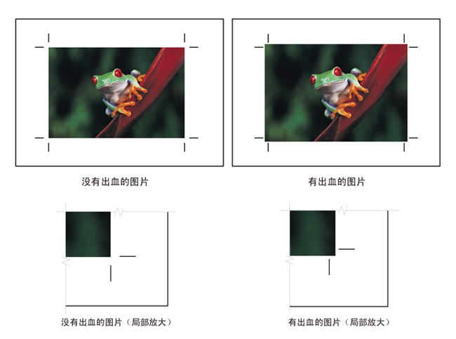 正常牌匾的尺寸多少_标准牌匾尺寸_牌匾 尺寸