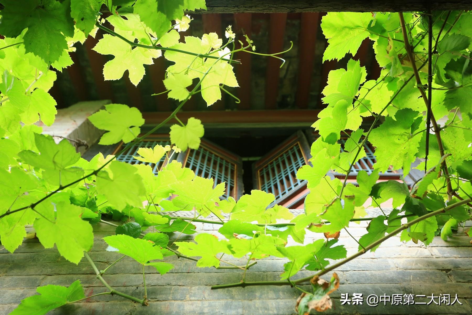 道法自然匾额_太和殿匾额_太和殿匾额怎么读
