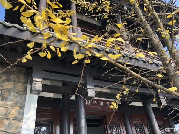 匾额_学府匾额_北大匾额京师大学堂牌匾北大招牌北京大学匾额