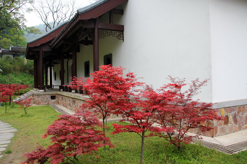 学府匾额_匾额_北大匾额京师大学堂牌匾北大招牌北京大学匾额