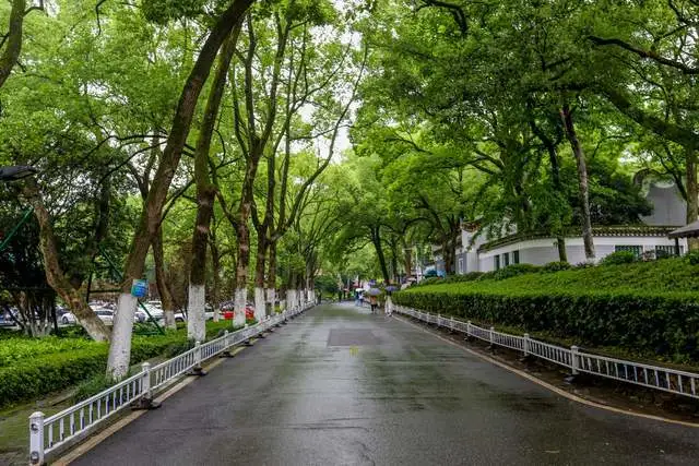 学府匾额_北大匾额京师大学堂牌匾北大招牌北京大学匾额_匾额