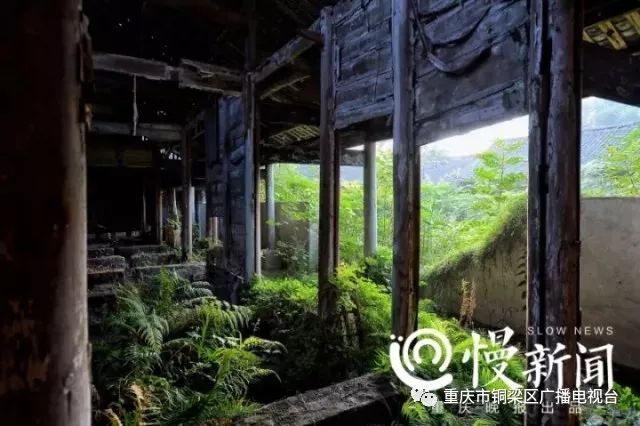 牌匾标识是什么意思_匾额标识_牌匾标识设置规范