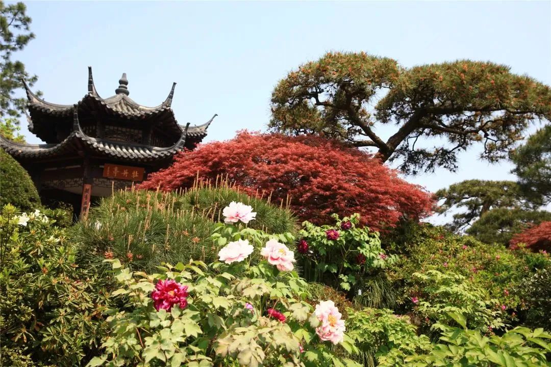 亭子牌匾名字大全_古亭子匾额_亭子的匾额挂在什么位置