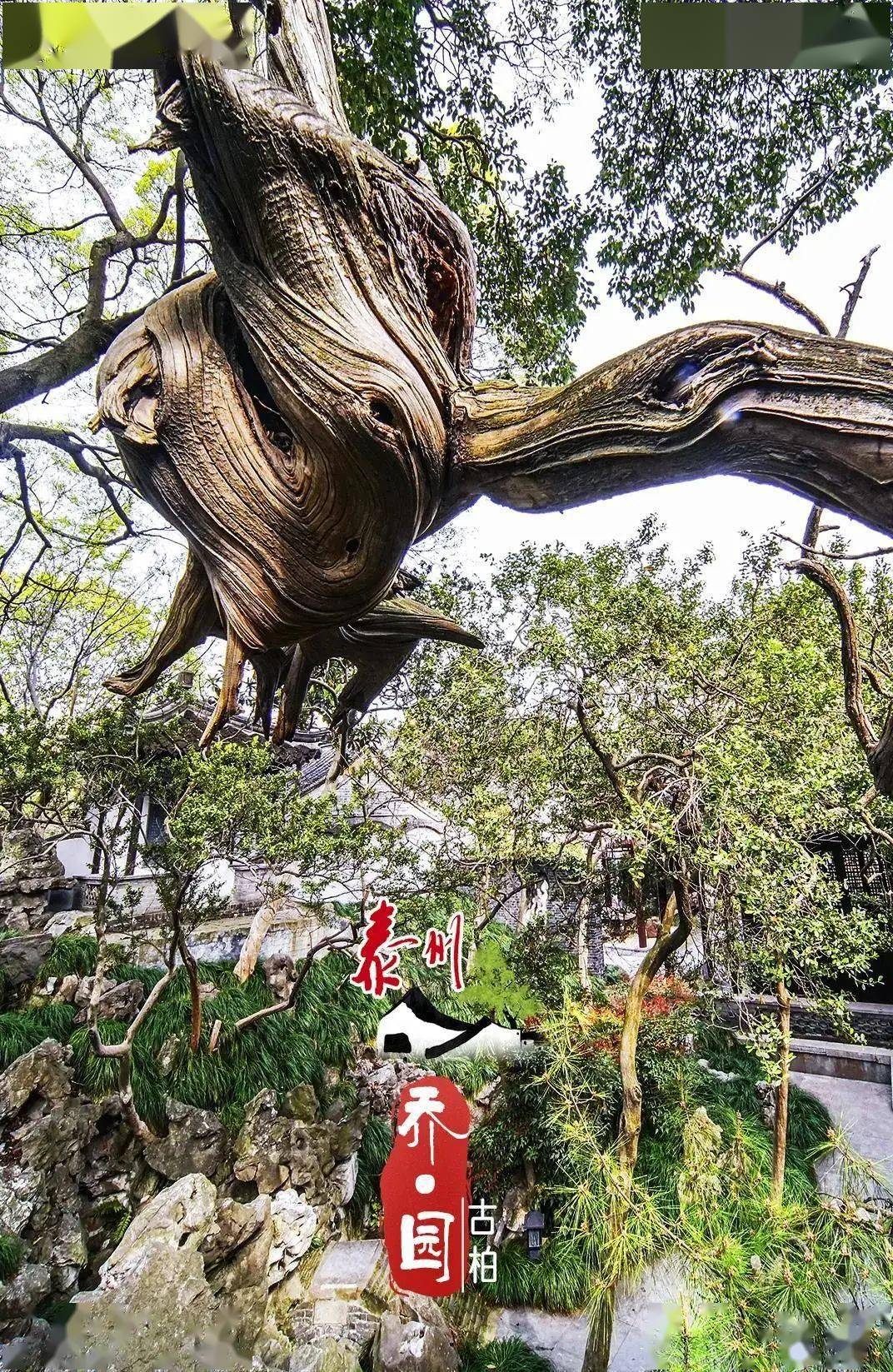 柳氏祠堂在哪里_柳氏匾额_柳氏祠堂对联