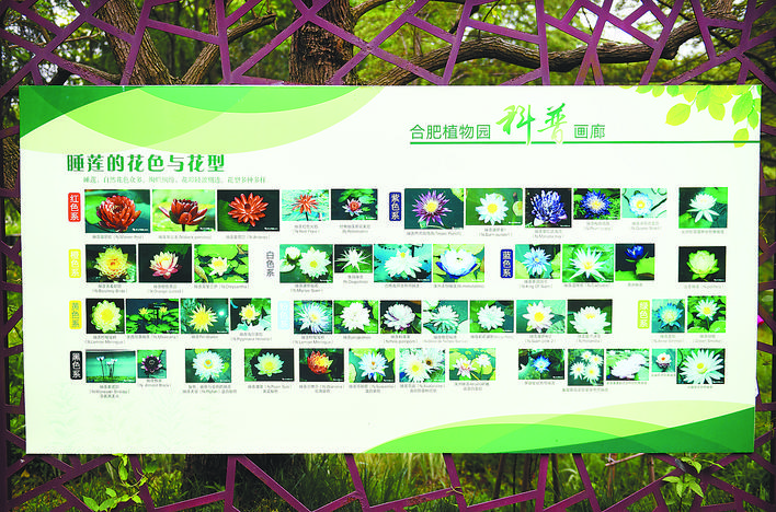 墙面浮雕画怎么赞美_墙面浮雕画_墙面浮雕画图片