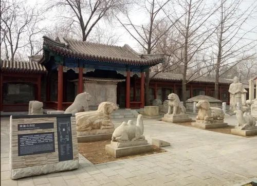 浮雕和圆雕的区别_浮雕与圆雕特点有何不同_浮雕和圆雕有什么区别