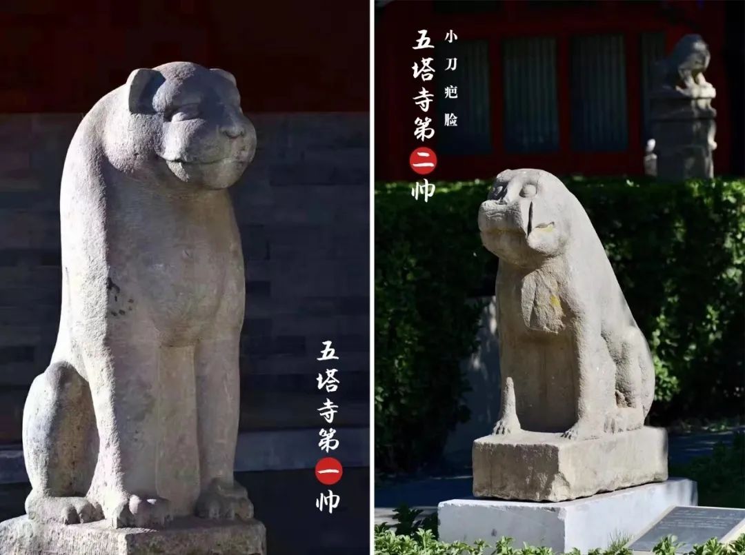 浮雕和圆雕的区别_浮雕和圆雕有什么区别_浮雕与圆雕特点有何不同