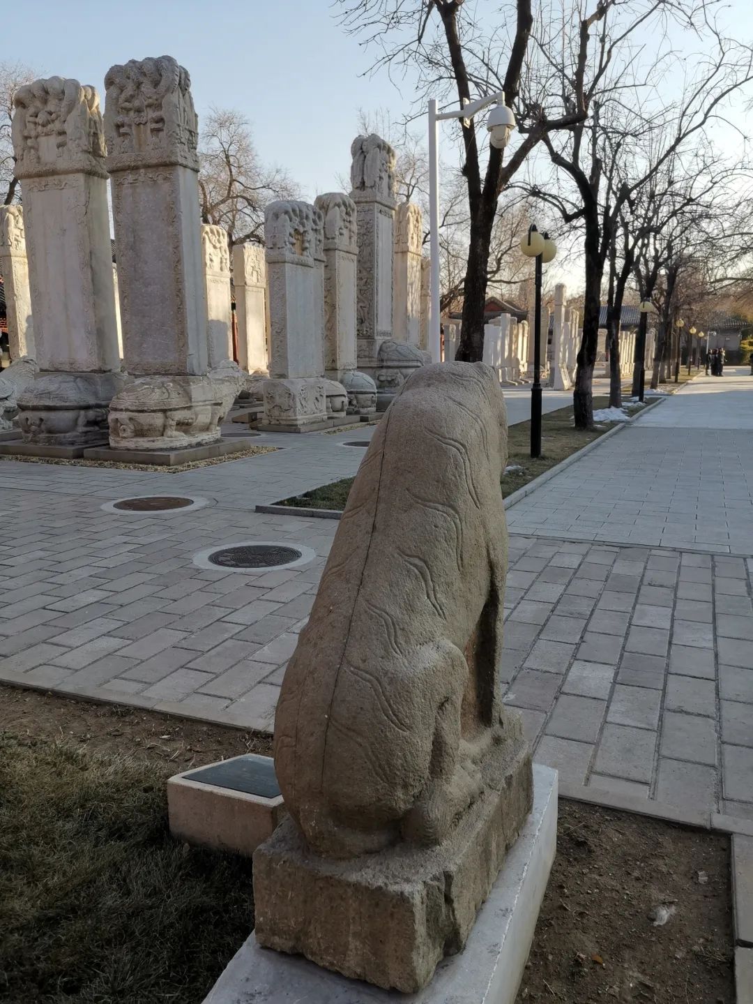 浮雕和圆雕的区别_浮雕和圆雕有什么区别_浮雕与圆雕特点有何不同