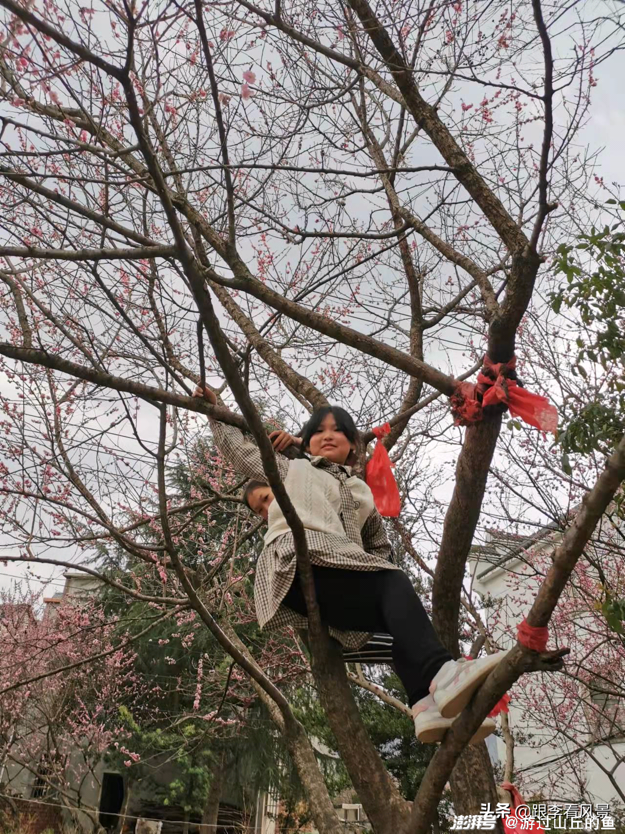 李姓大门门匾题字_李氏门牌匾怎么写_李姓匾额