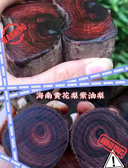 名贵木材有哪些_木材珍贵排行_木材的名贵排名