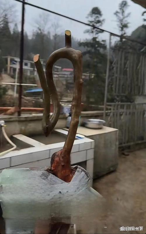 木制艺术品制作_木头创意艺术品图片_云南旅游奇遇