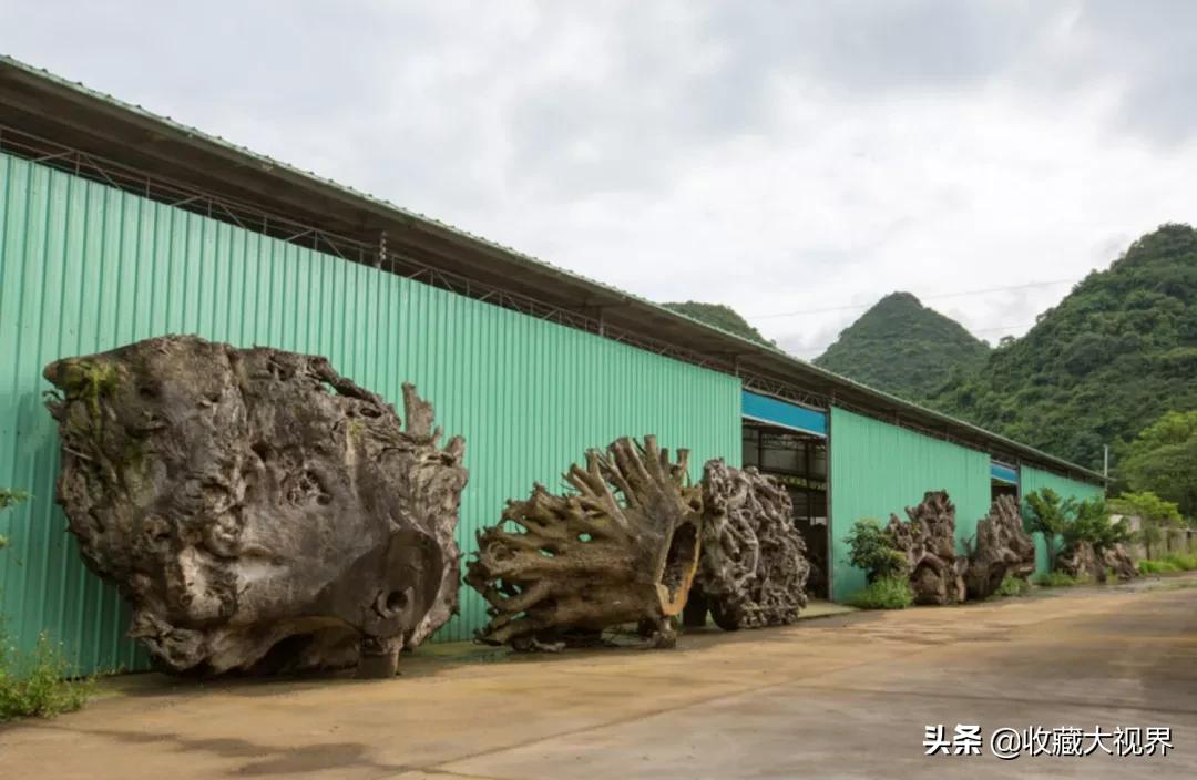  根雕市场崩盘分析 _红木根雕收藏价值 _木头佛像雕刻