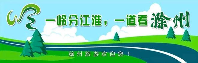 凤阳县官塘镇_木雕特点_唐氏木雕