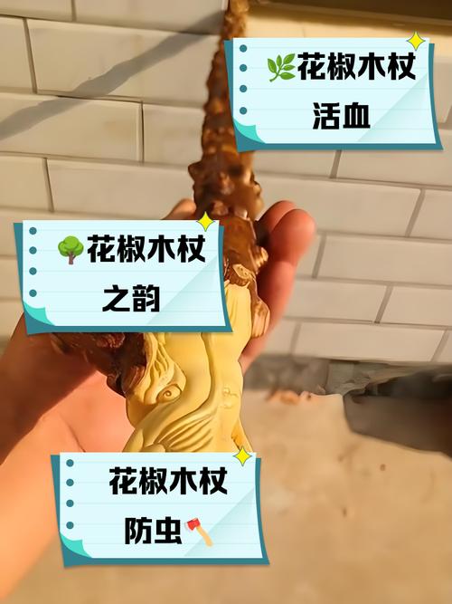 好木材有哪些_农村老人拐杖木材_六道木拐杖优点