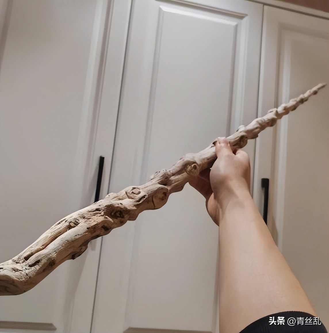 六道木拐杖优点_农村老人拐杖木材_好木材有哪些
