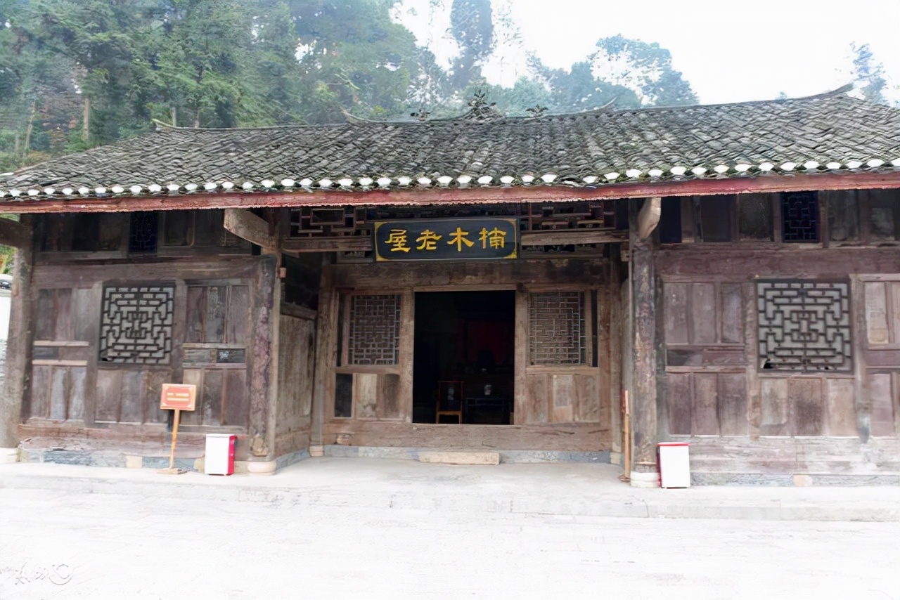 金丝楠木价格历史_湖北恩施金丝楠木树屋_比黄金还贵的木头