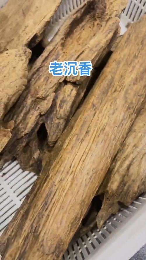比黄金还贵的木头_30年才结香的沉香价格_古稀藏家揭秘沉香暴涨真相