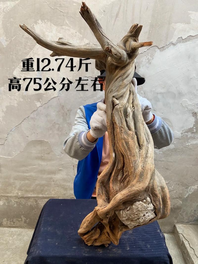 木雕简单小把件_太行崖柏雕刻艺术价值_杨氏根雕非遗传承人