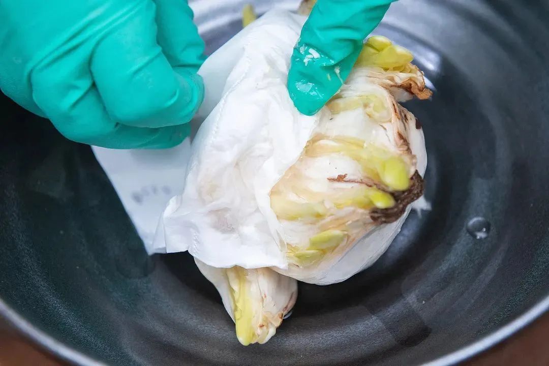 初学根雕如何着手_水仙养护方法_水仙雕刻技巧