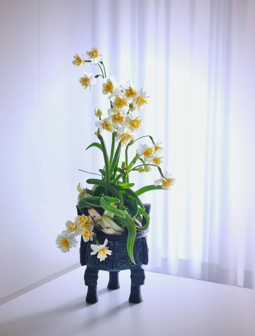 水仙养护方法_初学根雕如何着手_水仙雕刻技巧