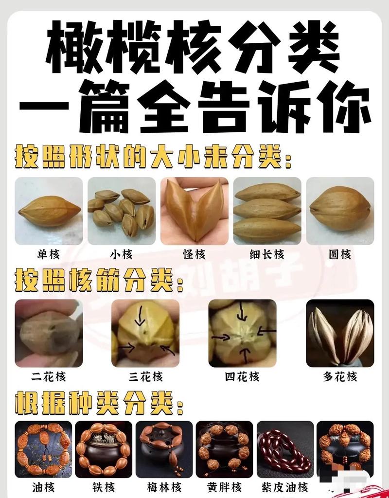 橄榄核雕工艺特点_初学雕刻用什么材料_材料硬度级别分类