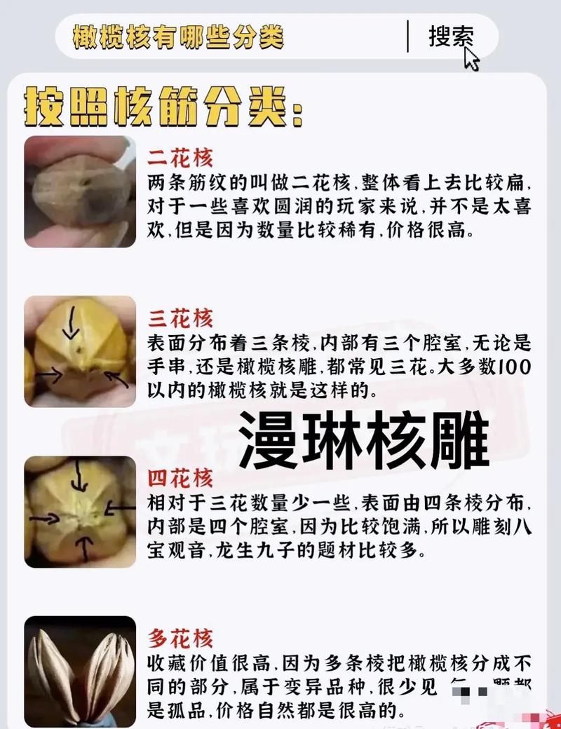 初学雕刻用什么材料_材料硬度级别分类_橄榄核雕工艺特点