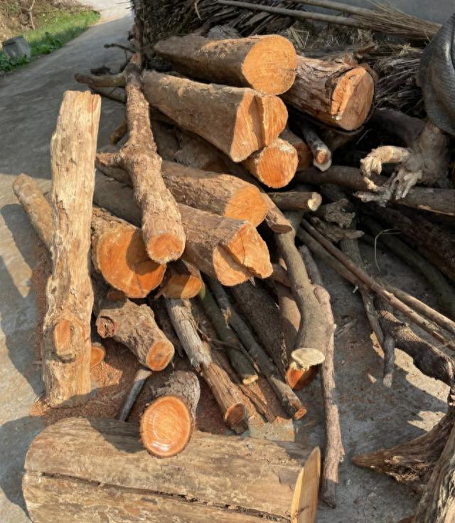 木材市场黑天鹅事件_进口木材名称大全_黄杨木野生料封禁政策