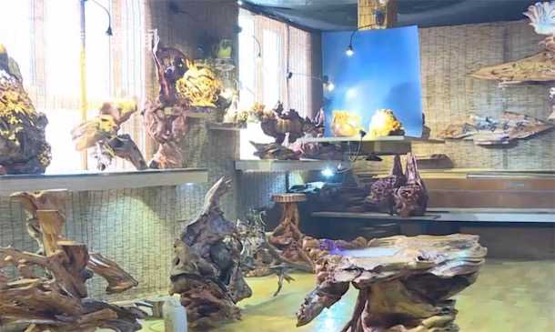 铁力市根雕店盗窃案_根雕不能随便在家_根雕工具失窃案