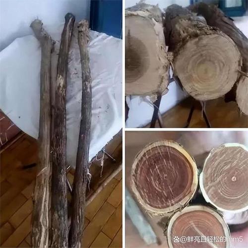 铁桦木应用_铁桦木硬度_木材硬度