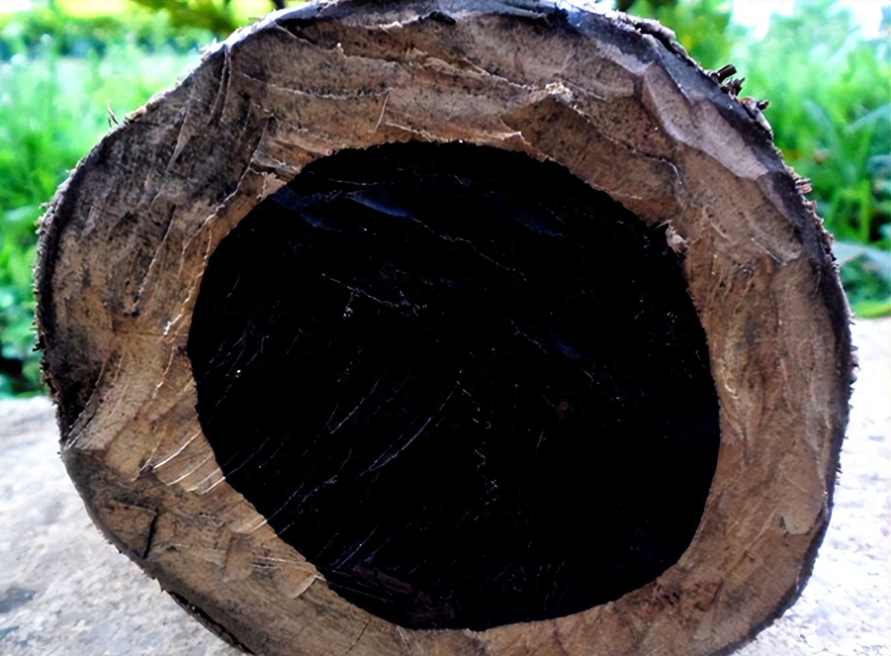 木材硬度_橡树落叶松硬度对比_木材硬度测量布氏法