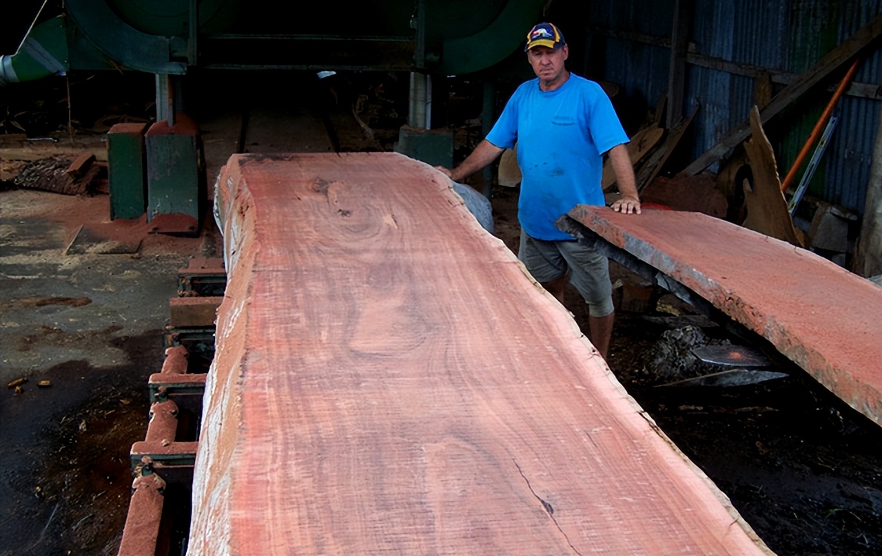 橡树落叶松硬度对比_木材硬度_木材硬度测量布氏法