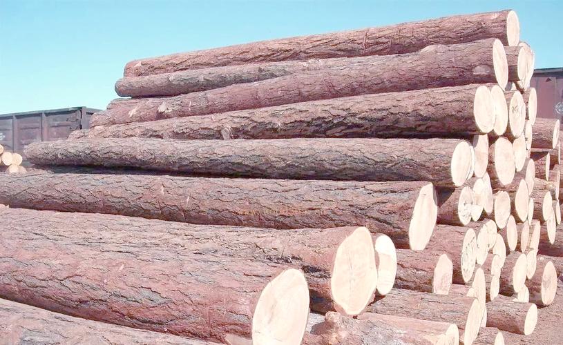 简卡硬度测试法_世界上最硬的木头_木材硬度