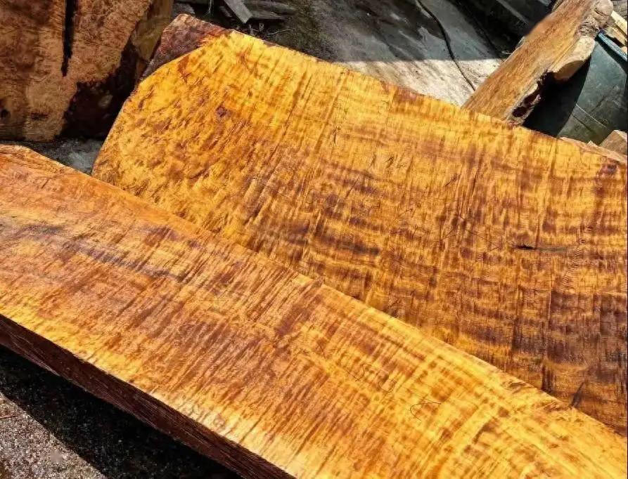 铁桦树硬度原理_铁桦树木材应用领域_木材硬度