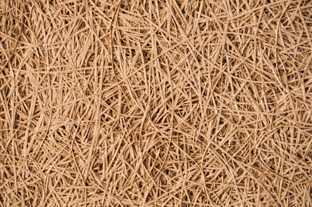 铁桦树木材应用领域_木材硬度_铁桦树硬度原理