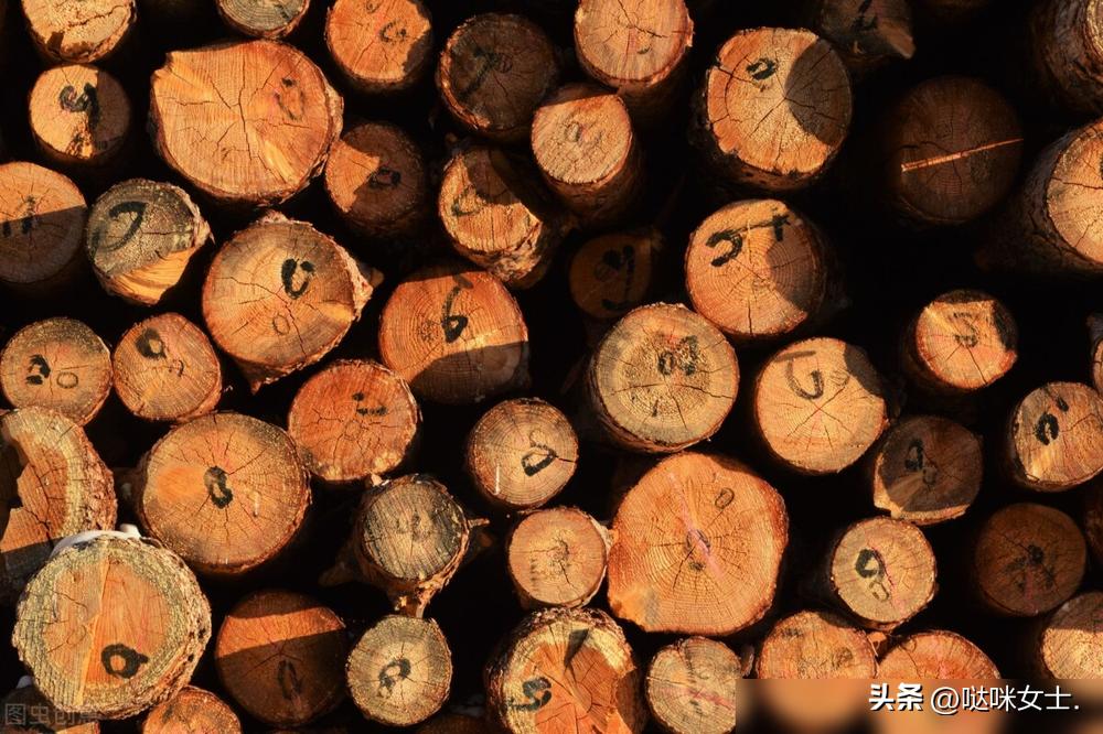 铁桦木家具制作工艺_铁桦木硬度_木材硬度