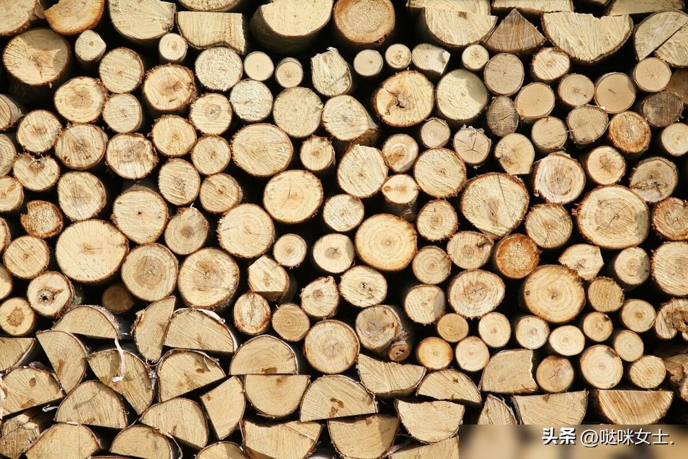 铁桦木硬度_木材硬度_铁桦木家具制作工艺