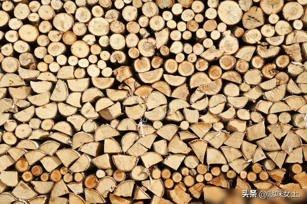 木材硬度_铁桦木家具制作工艺_铁桦木硬度