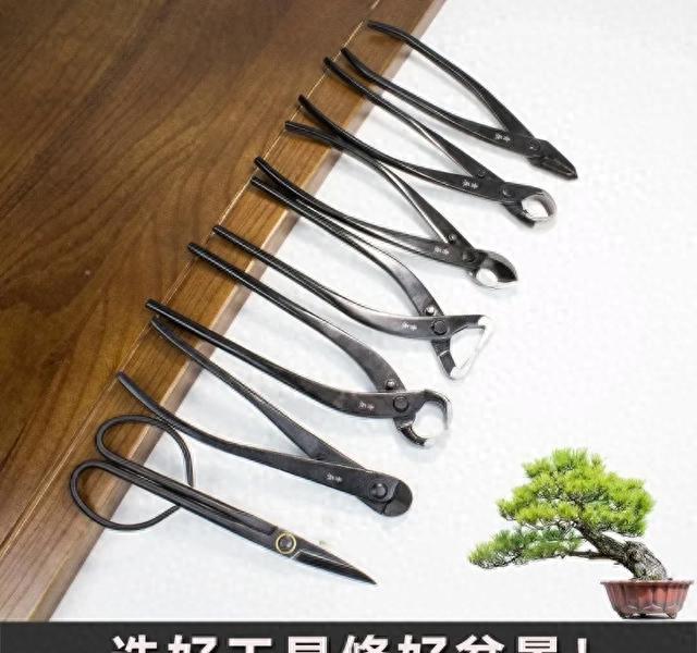盆景工具选购指南_国产高端剪刀推荐_电动木雕刀头的使用方法