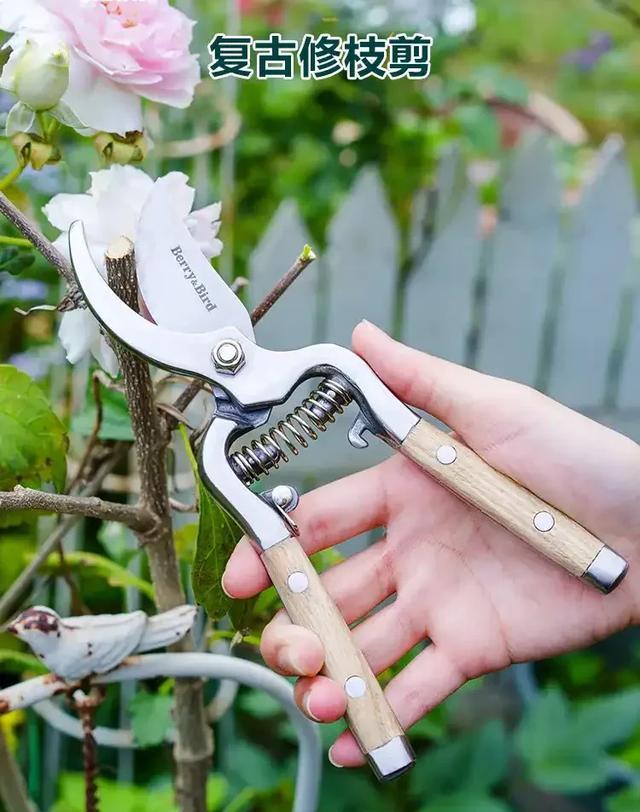 盆景工具选购指南_电动木雕刀头的使用方法_国产高端剪刀推荐