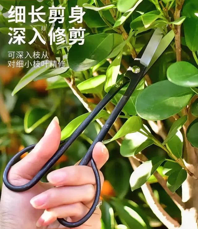 电动木雕刀头的使用方法_盆景工具选购指南_国产高端剪刀推荐