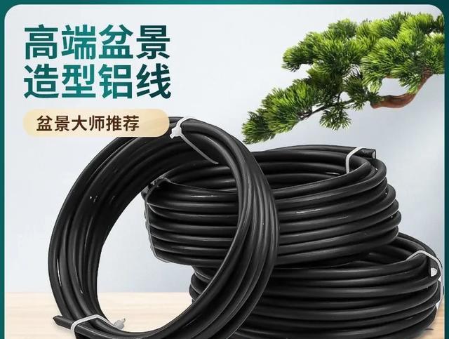 国产高端剪刀推荐_电动木雕刀头的使用方法_盆景工具选购指南