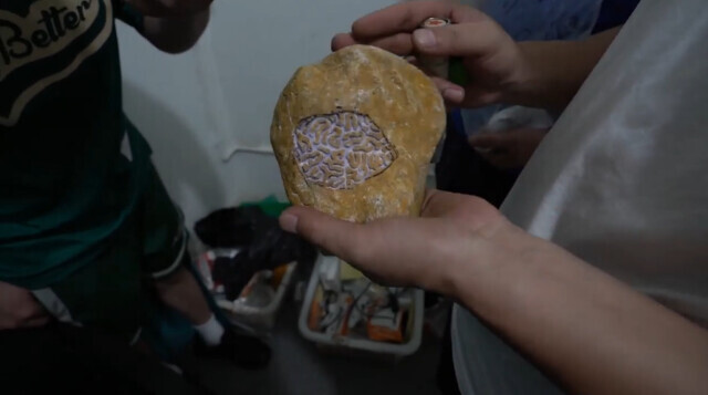 赌石直播间骗局_直播间赌石套路_翡翠原石